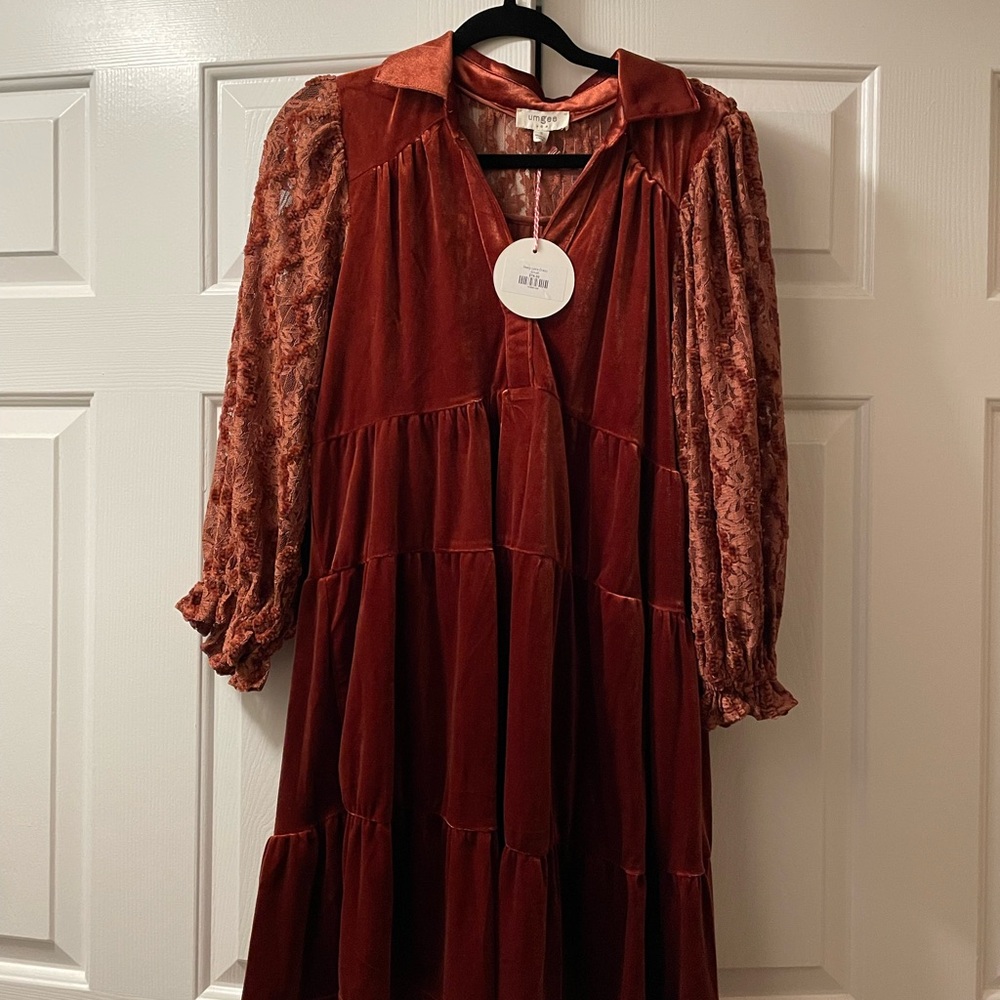 Women's Velvet Dress in Rich Burgundy
